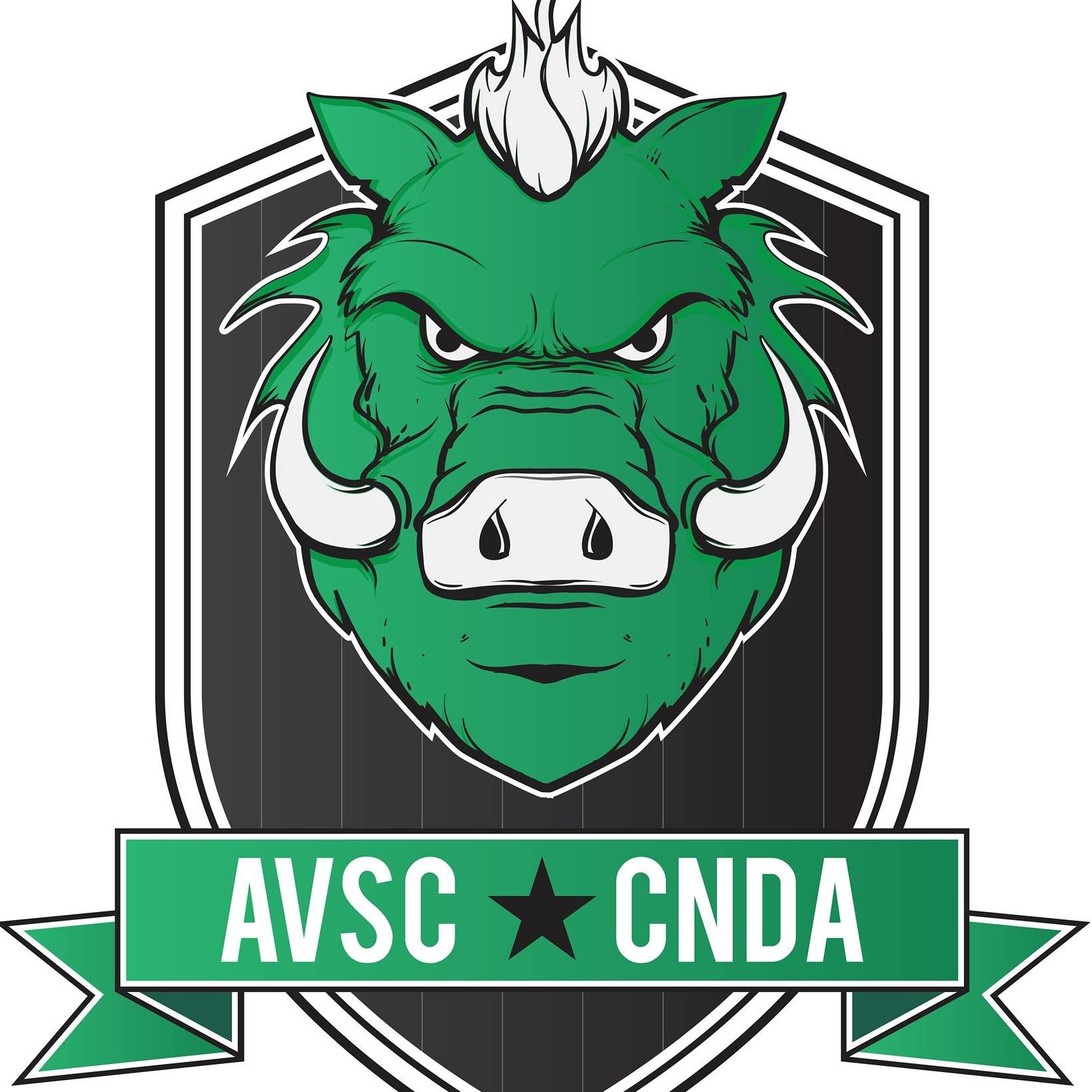 Amman Valley Swimming Club Logo